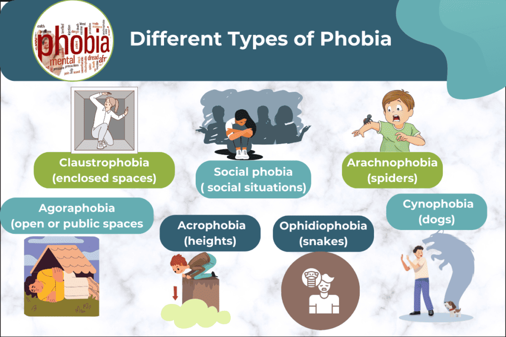 What are phobias and the different types of phobias