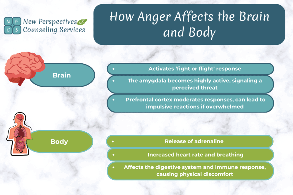 How anger affects your brain and body
