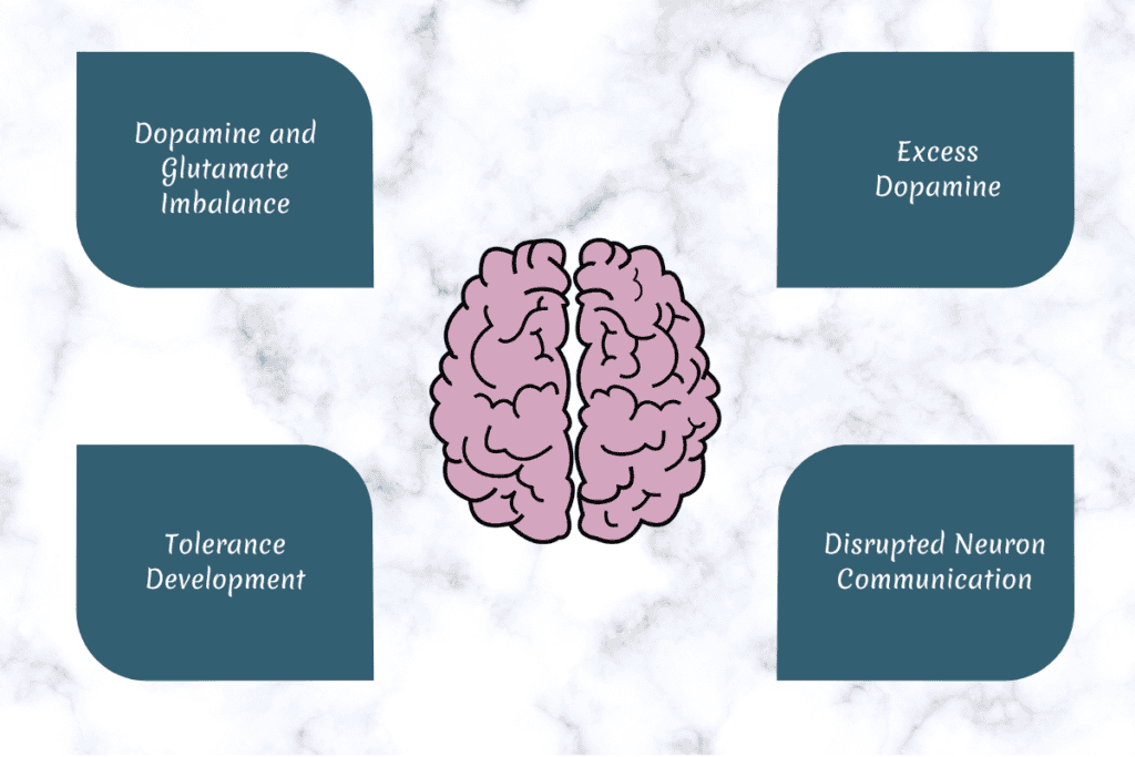 How Addiction Affects The Brain 